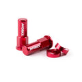 AWORKX Rim Lock Tower Nut Kit